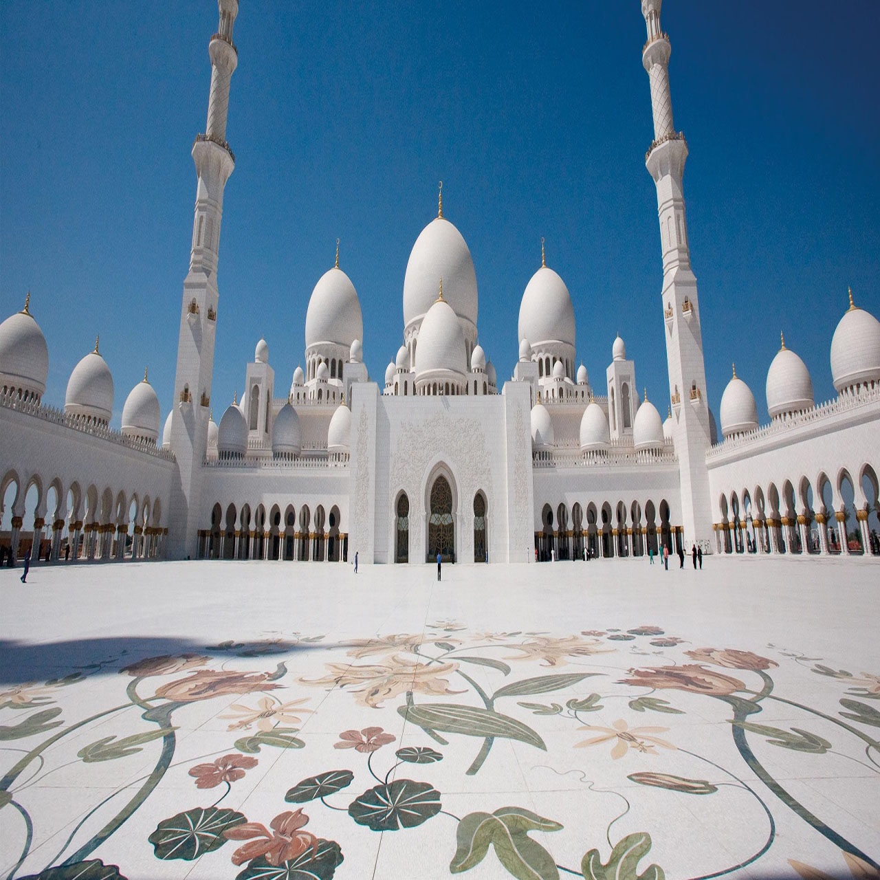 Sakura_E_C7 Days Standard ❀❀❀