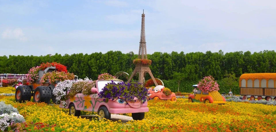 Miracle Garden Entry Ticket in Dubai