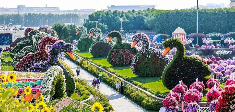 Miracle Garden Entry Ticket in Dubai